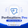 Perfmatters Pro With Licence Key